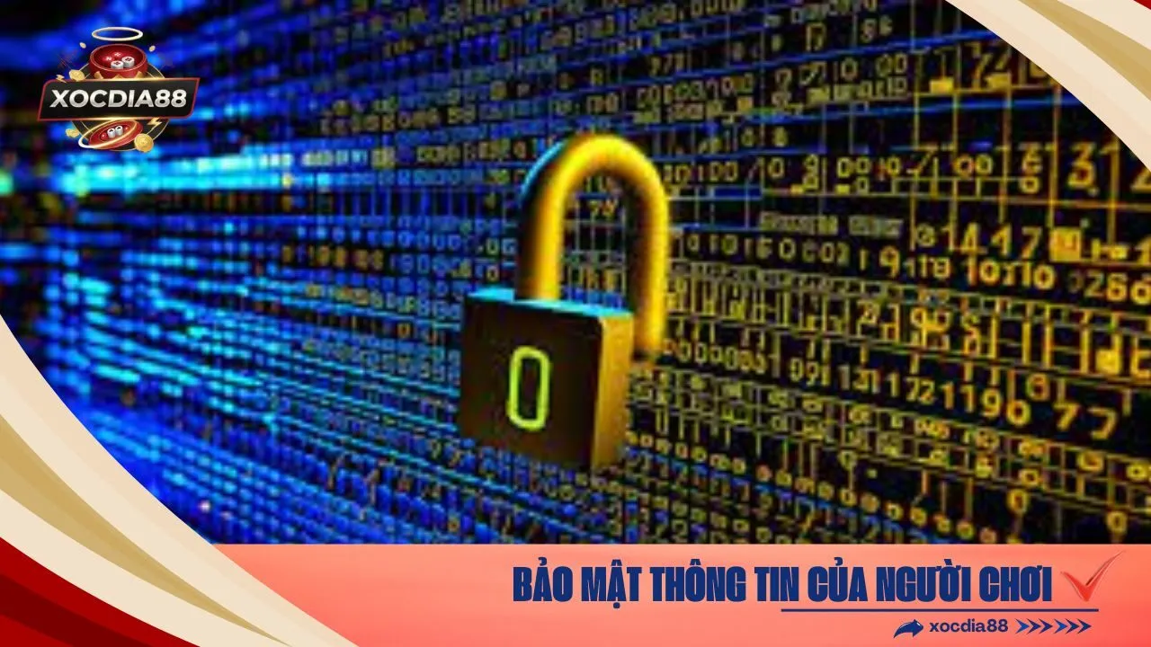 Bảo Mật Thông Tin của người chơi