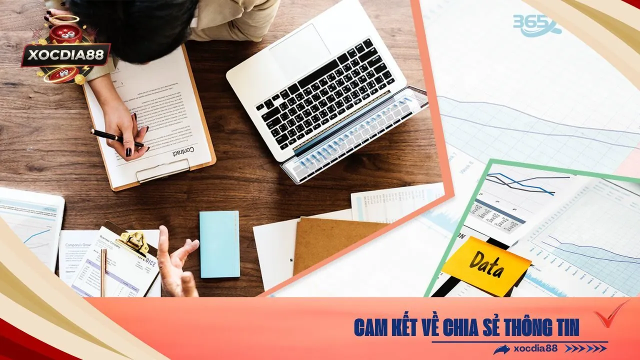 Cam Kết về Chia Sẻ Thông Tin