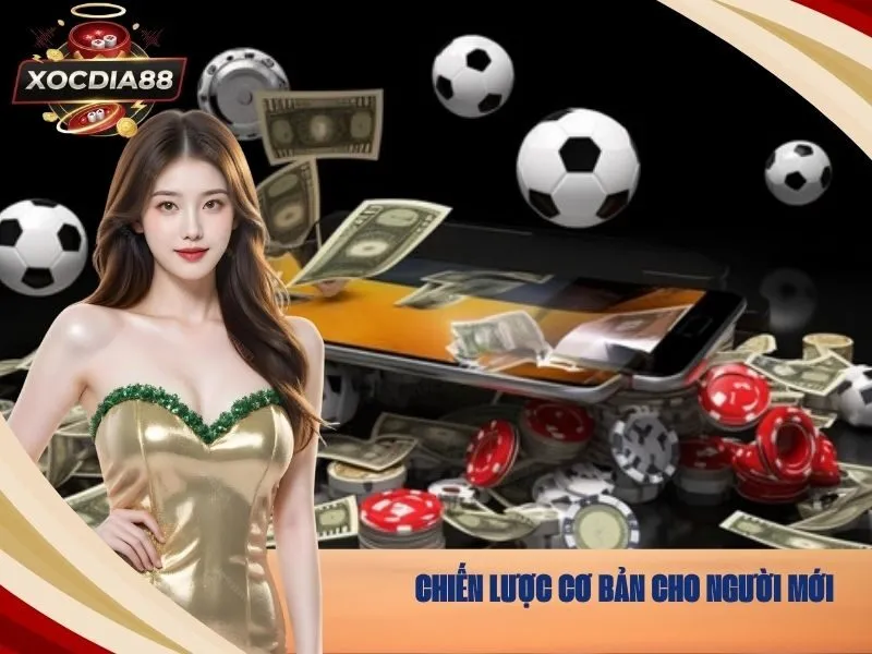 Chiến lược cơ bản cho người mới