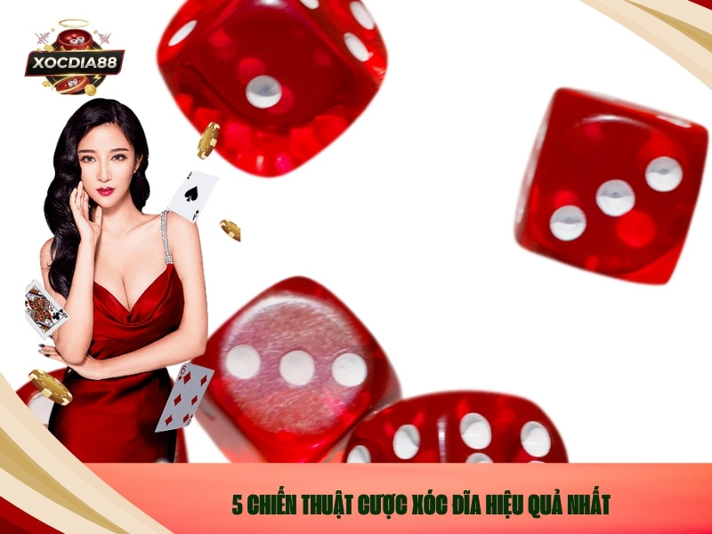 5 Chiến Thuật Cược Xóc Đĩa Hiệu Quả Nhất