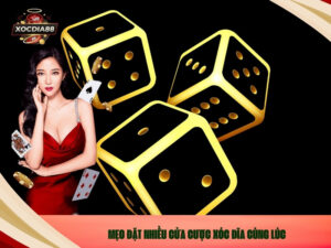 Mẹo Đặt Nhiều Cửa Cược Xóc Đĩa Cùng Lúc