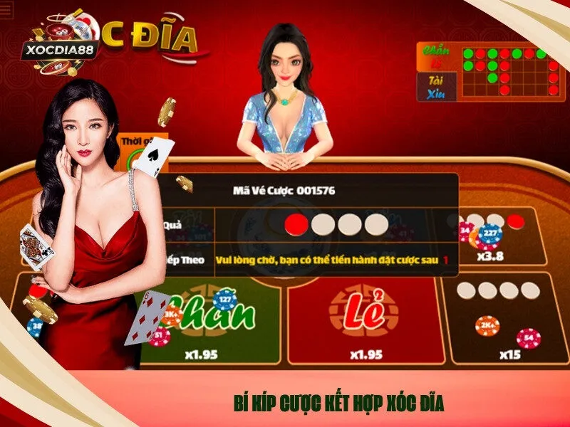 Bí Kíp Cược Kết Hợp Xóc Đĩa