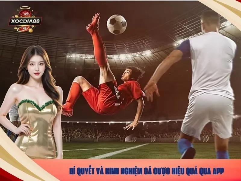 Bí Quyết và Kinh Nghiệm Cá Cược Hiệu Quả Qua App