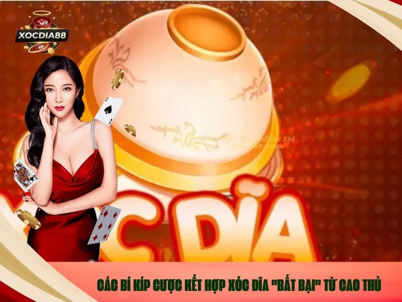Các Bí Kíp Cược Kết Hợp Xóc Đĩa Bất Bại Từ Cao Thủ