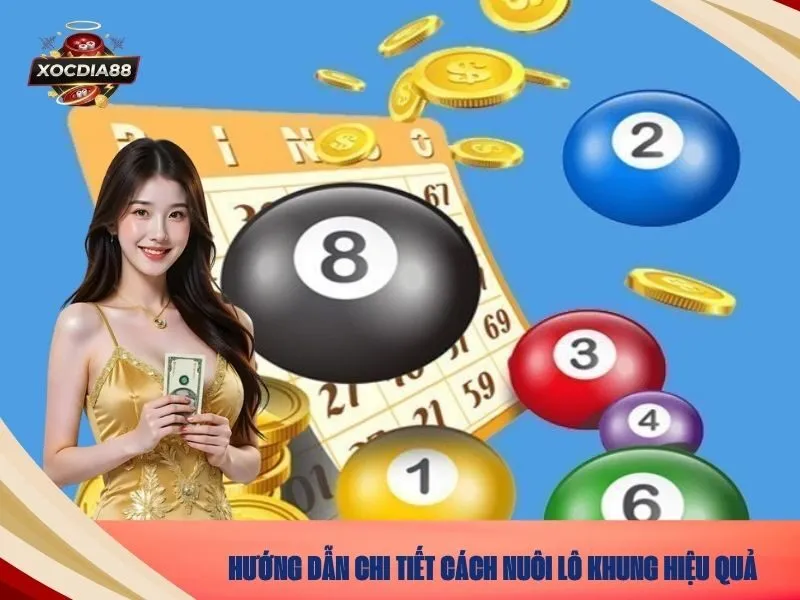 Hướng dẫn chi tiết cách nuôi lô khung hiệu quả