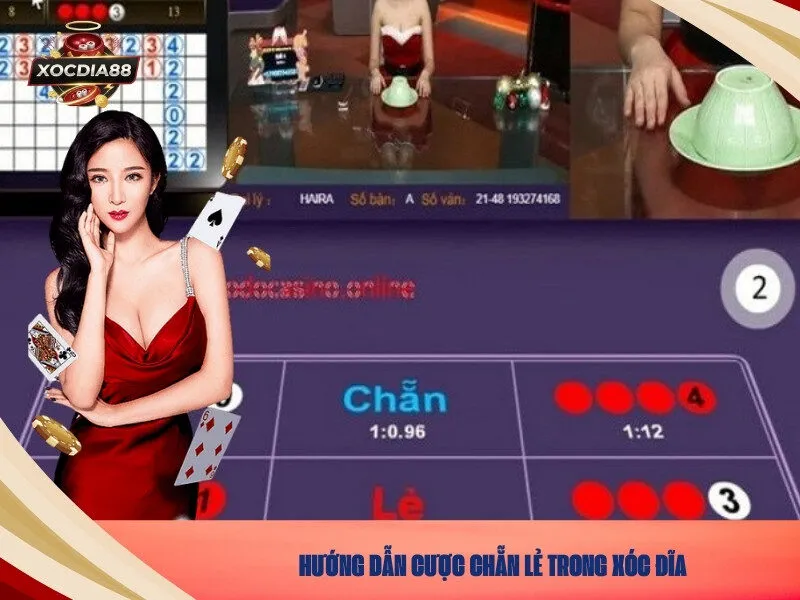 Hướng Dẫn Cược Chẵn Lẻ Trong Xóc Đĩa