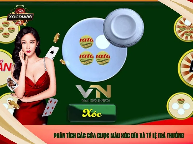 Phân tích các cửa cược Màu Xóc đĩa và tỷ lệ trả thưởng
