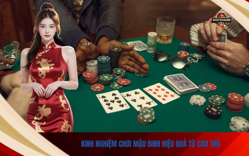 Kinh Nghiệm Chơi Mậu Binh Hiệu Quả Từ Cao Thủ