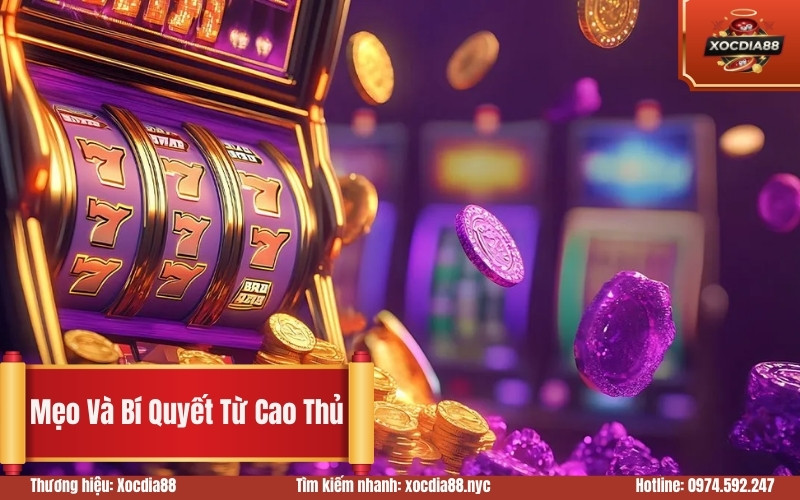 Mẹo Và Bí Quyết Từ Cao Thủ