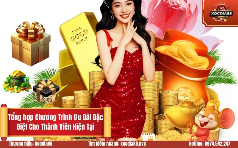 Tổng hợp Chương Trình Ưu Đãi Đặc Biệt Cho Thành Viên Hiện Tại