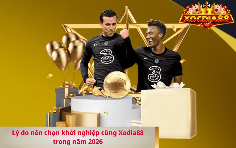 Lý do nên chọn khởi nghiệp cùng Xodia88 trong năm 2026